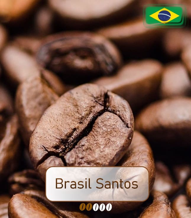 Brasil Santos Kaffee einkaufen für Genuss. Ihr Online Kaffeefachhandel