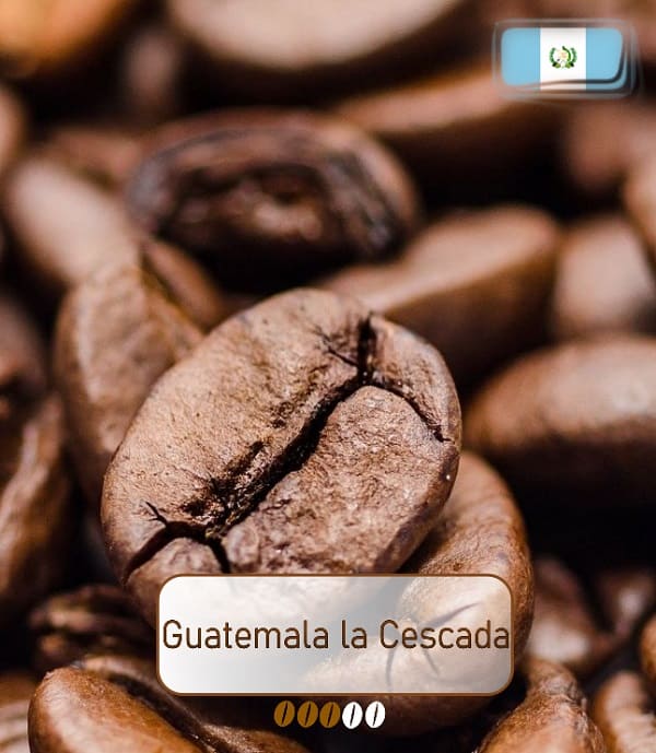 Guatemala la Cescada Kaffee einkaufen beim Premium Kaffeehändler Ihres Vertrauens