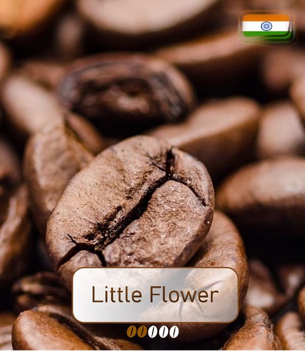 Little flower Kaffee einkaufen bei Service-Kaffeemaschine - Kaffeeshop & Service