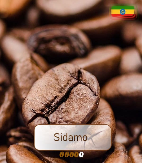 Sidamo Premium Kaffee kaufen bei Service-Kaffeemaschine - Kaffeeshop & Service