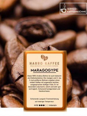 Maragogype Kaffeebohnen kaufen: Premium Kaffee online bestellen von Harro Kaffee Onlineshop